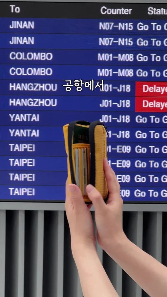[슈퍼특가] 에가든 본보야지 패스포트 RFID 차단 안티스키밍 여행용 지갑 여권 케이스 상세 이미지 1