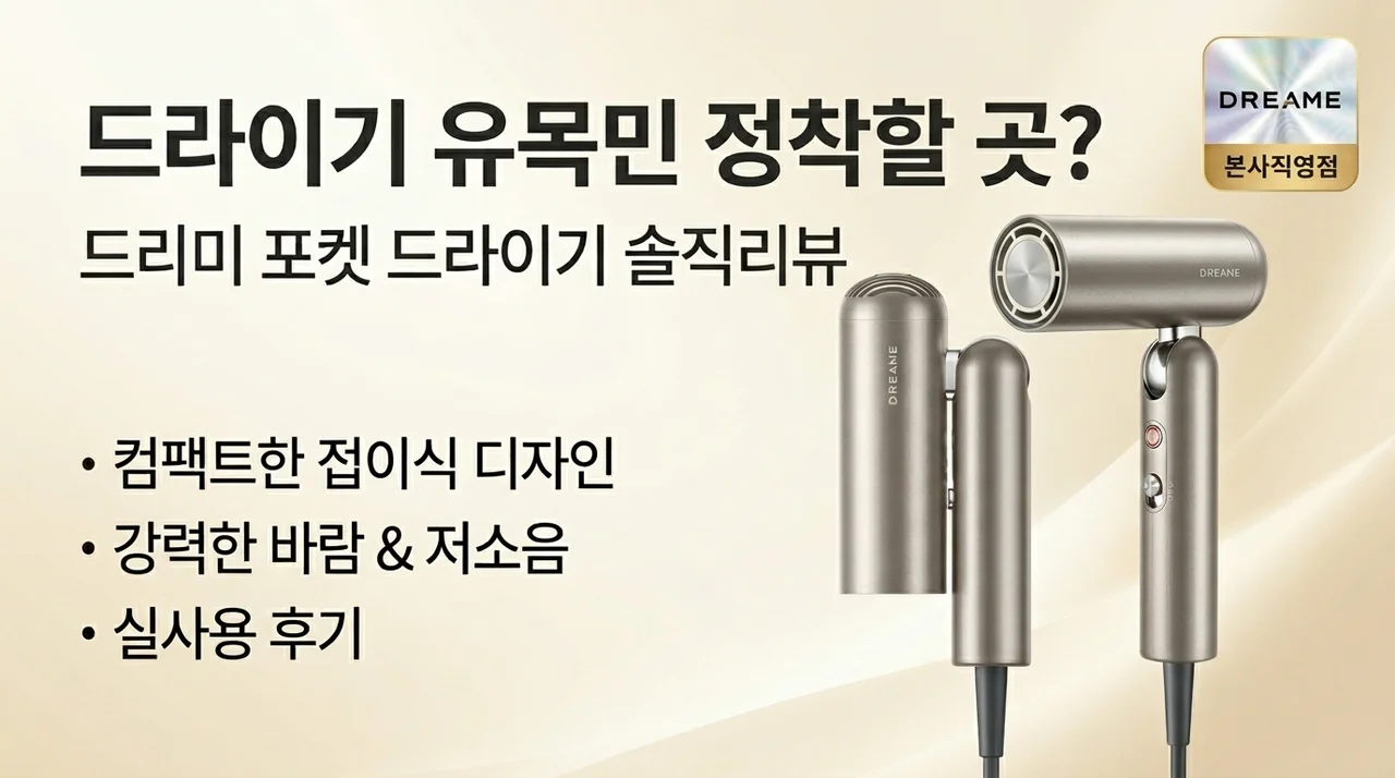 드라이기 유목민 종착지? 드리미 Pocket 드라이기 솔직 후기